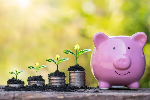 Afschaffing fiscale voordelen groen beleggen wordt niet teruggedraaid